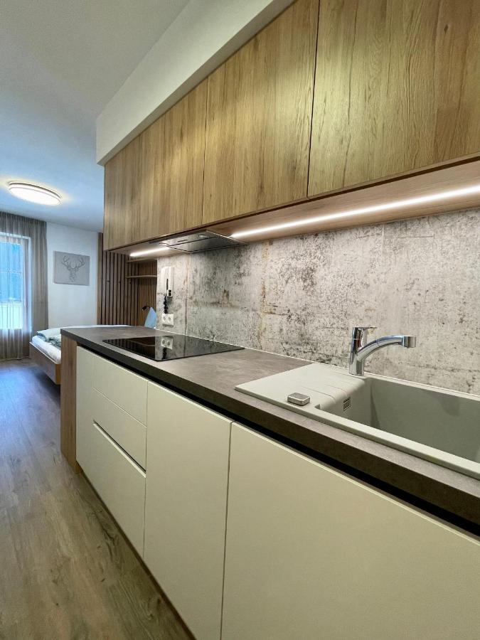 Apartments Vaiolet Santa Cristina Val Gardena 外观 照片