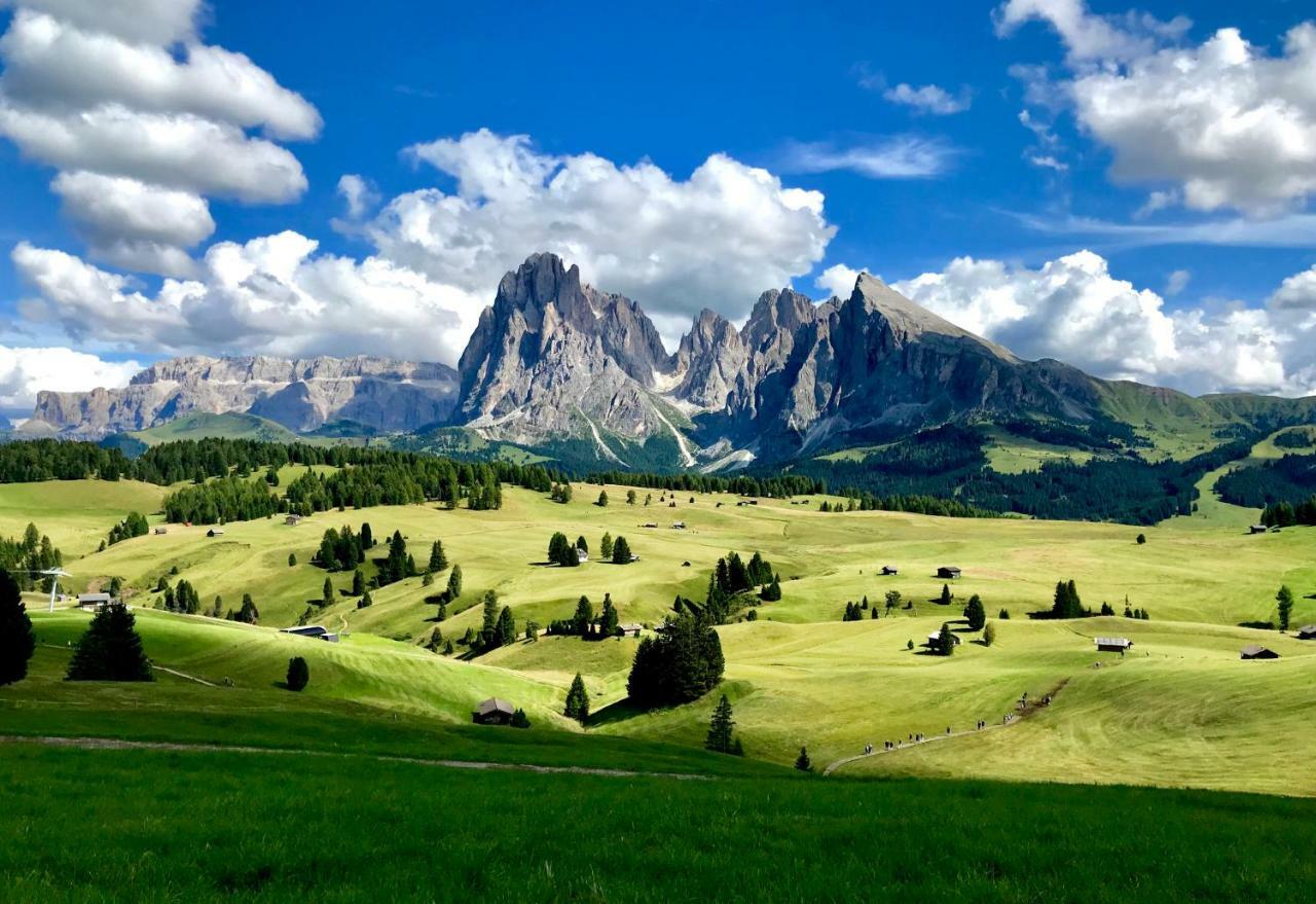 Apartments Vaiolet Santa Cristina Val Gardena 外观 照片